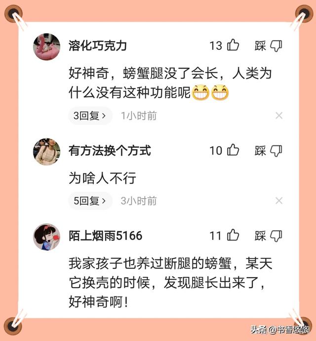 螃蟹几只脚几个钳子(螃蟹再生能力怎么样)