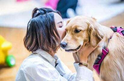 小奶狗有狂犬病毒吗?怎么判别有没有（狗狗得狂犬病症状有哪些表现）