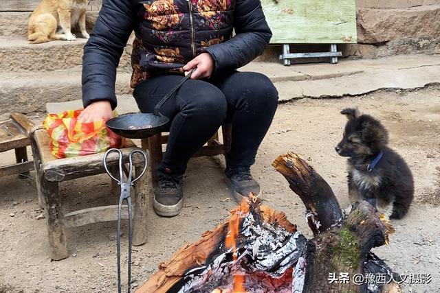 狗能吃板栗吗泰迪狗(烤板栗家常简单做法)