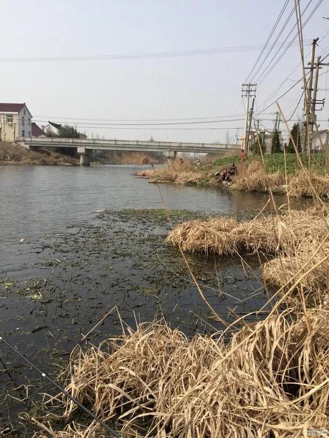 鱼竿h代表什么意思(垂钓经验和技巧分享)