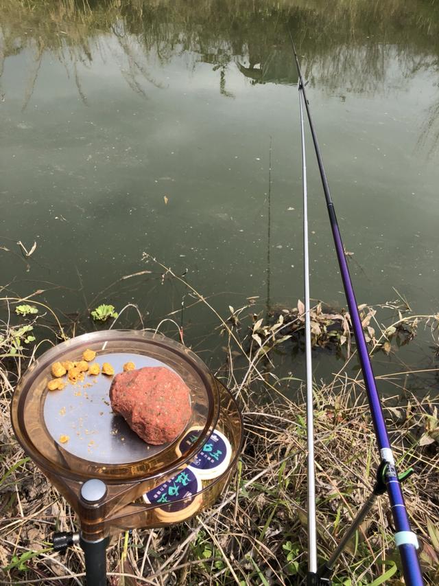 夏季多少气压适合钓鱼(钓鱼的方法与技巧)