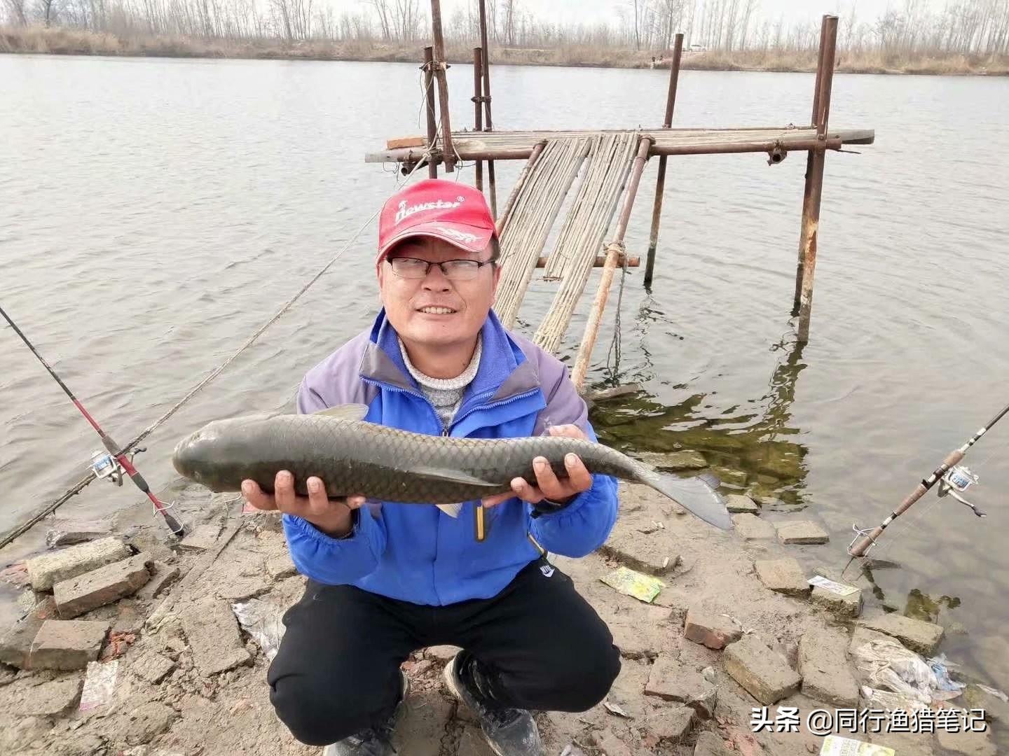 1.5子线能钓多大鱼儿(野钓大小兼顾线组搭配)