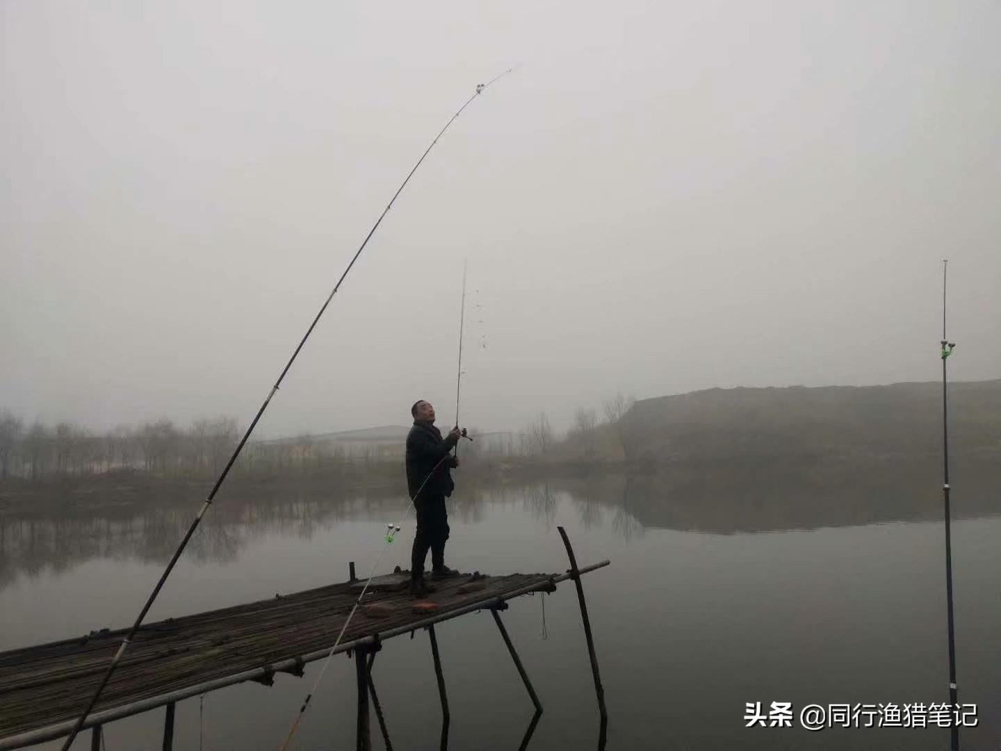 1.5子线能钓多大鱼儿(野钓大小兼顾线组搭配)