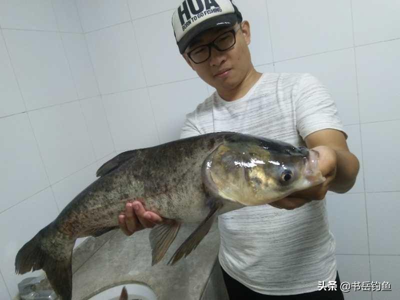 鲢鳙喜欢什么味道饵料,加什么味道小药