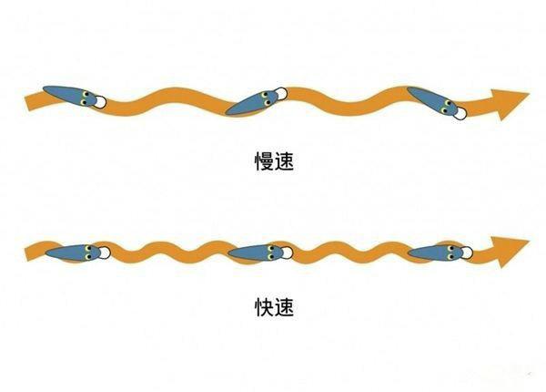 路亚竿的使用方法 新手教学(路亚竿的操作方法)