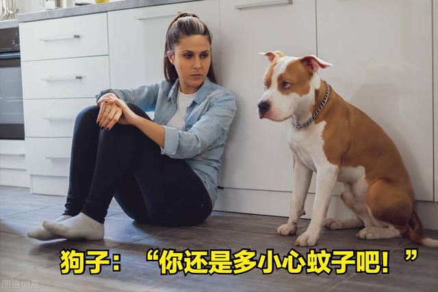 如何预防狂犬病的发生（家狗携带狂犬病毒的几率高吗）