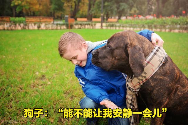 如何预防狂犬病的发生（家狗携带狂犬病毒的几率高吗）