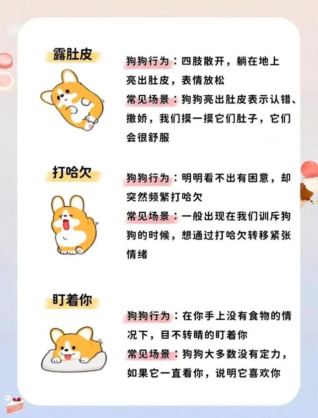 小狗吐舌头代表什么(狗狗的20种肢体语言是什么意思)