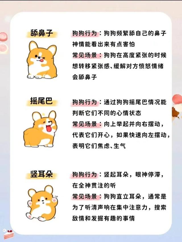 小狗吐舌头代表什么(狗狗的20种肢体语言是什么意思)