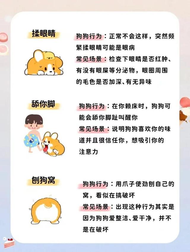 小狗吐舌头代表什么(狗狗的20种肢体语言是什么意思)