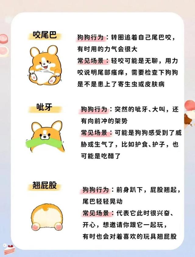 小狗吐舌头代表什么(狗狗的20种肢体语言是什么意思)