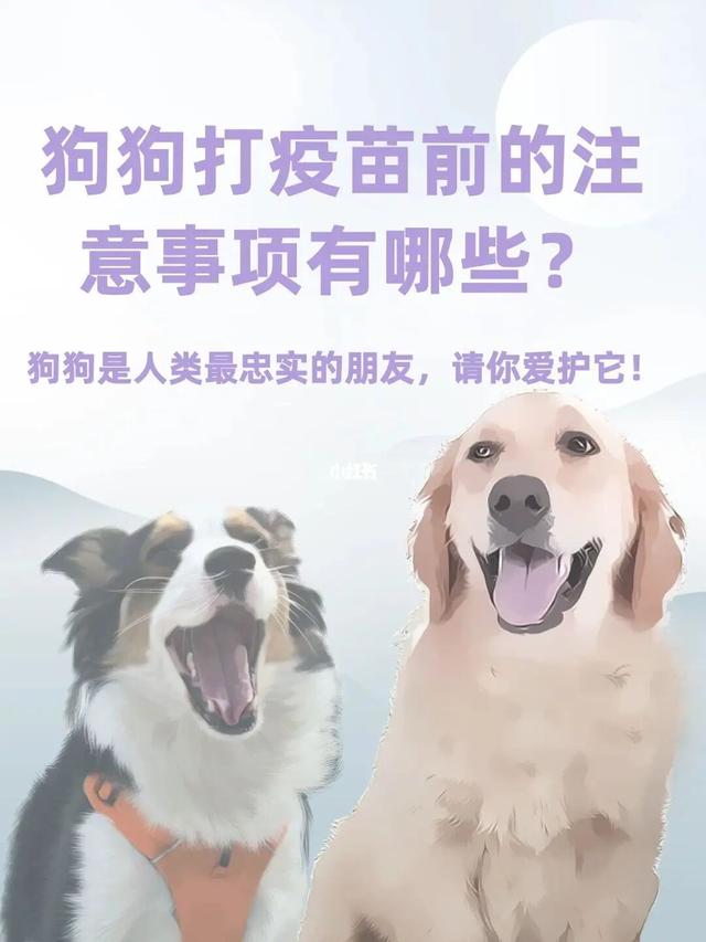 金毛疫苗多久打一次比较好（金毛一般要打几针疫苗）