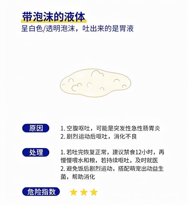 狗狗吐白泡沫是什么问题引起的(狗狗呕吐物与病情图解)