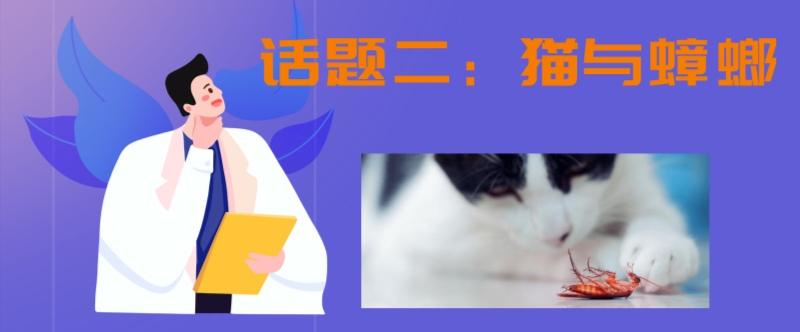 猫吃蟑螂正常吗（为什么养猫就没有蟑螂）