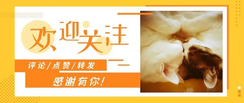 猫吃蟑螂正常吗（为什么养猫就没有蟑螂）