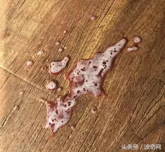 猫咪呕吐奶白色粘液能自愈吗怎么治疗（猫吐了白色黏液或泡沫是什么原因）