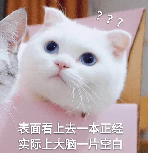 猫吃鸡蛋黄的好处和坏处有哪些（猫最爱吃的食物排行表）