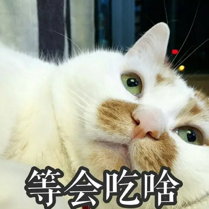 猫知道自己换主人了吗会难过吗（成年蓝猫换了主人会怎么样）