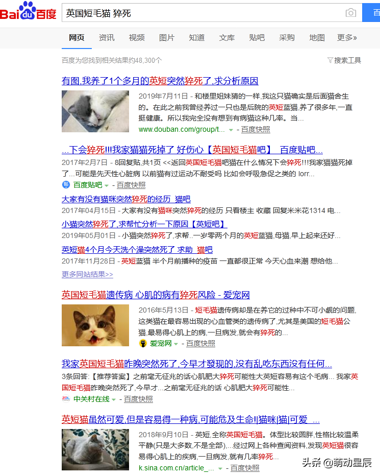 怎么辨别橘猫和土猫的区别（橘猫算土猫还是宠物猫）