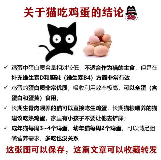 猫吃蛋黄还是蛋白好(猫一般一次吃多少个蛋黄合适)