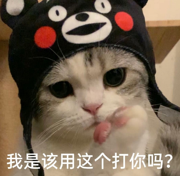 三四岁的猫相当于人的多少岁(猫的寿命与人类寿命对照表)