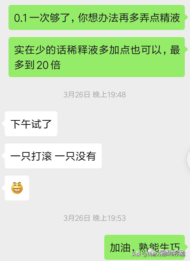 母猫和公猫不会配怎么办（猫人工授精技术怎么样）