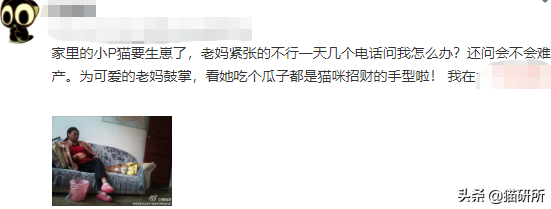 母猫难产的表现是什么症状（猫难产的处理方法有哪些）