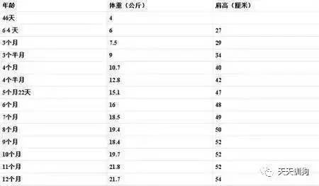 金毛体重与年龄对照表图片,宠物狗年龄对照表