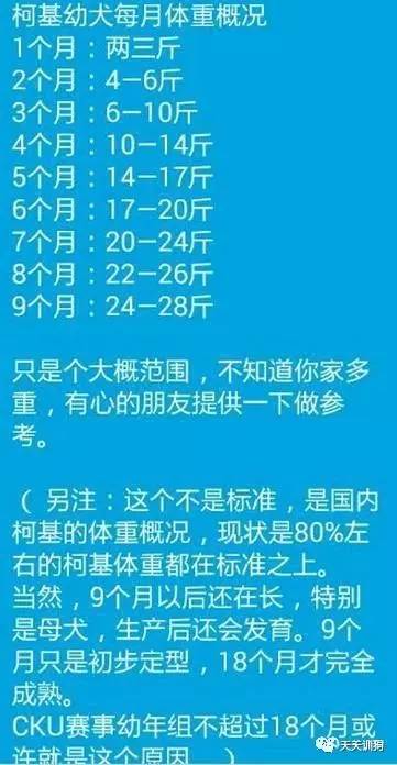 金毛体重与年龄对照表图片,宠物狗年龄对照表