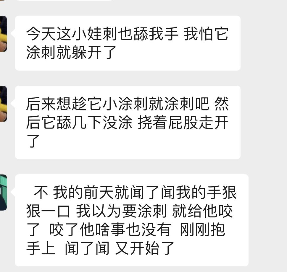 刺猬会不会咬人的手，非洲迷你刺猬咬人怎么回事