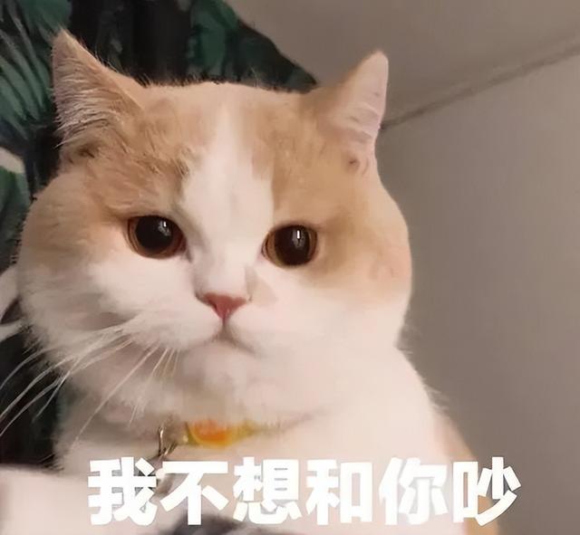 猫绝育后知道自己绝育了吗，猫做完绝育后表现什么