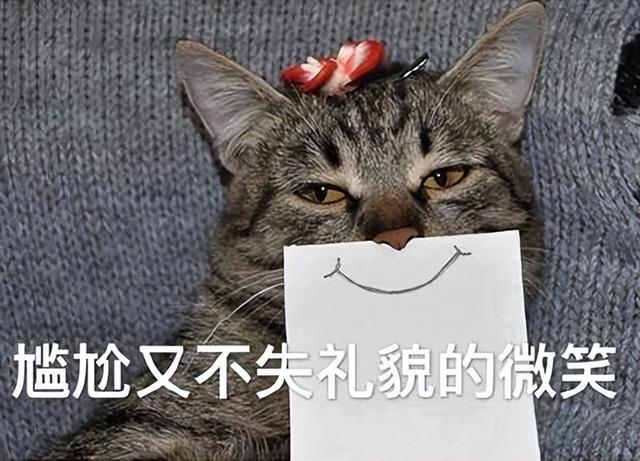 猫害怕的反应有哪些表现,怎么才能让猫咪害怕