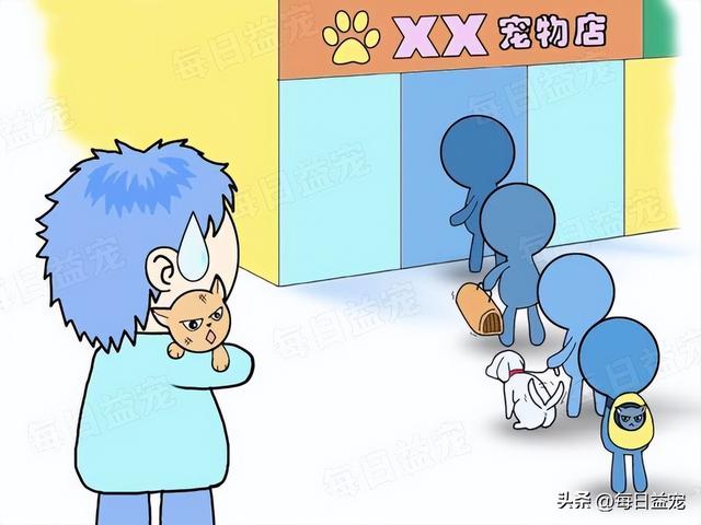 宠物猫吐血怎么回事（猫咪送宠物店洗澡应激死了）