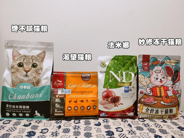 为什么流浪猫都是橘猫?原来是这几种原因!(橘猫的几大大缺点有哪些)