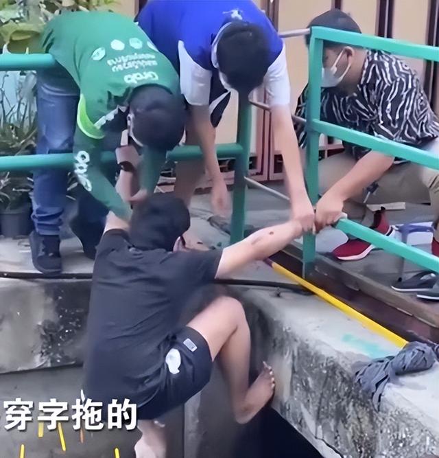 救了流浪猫其实是猫救了你(救了一只流浪猫意味着什么)