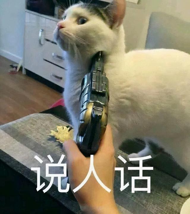 宠物猫怎么养才不生病(宠物猫关养好还是放养好)