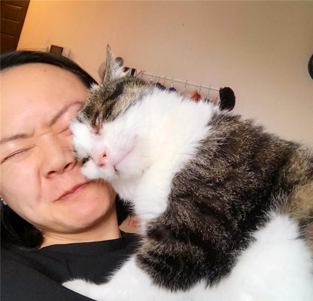 猫咪认识自己的主人和陌生人吗为什么(猫咪通过什么辨认主人)