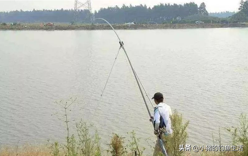 台钓竿和手竿区别，台钓竿和炮竿哪个结实耐用