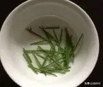 猫不吃猫草怎么办：寻找合适的欣赏兴趣点或食物替代品（多方尝试）