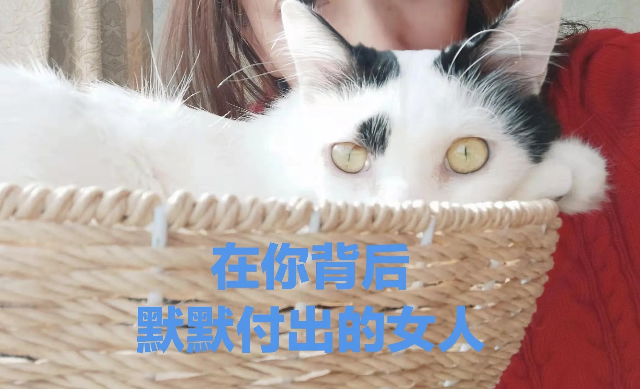 猫咪会哭吗会伤心吗（揭秘猫咪情感与行为特点）