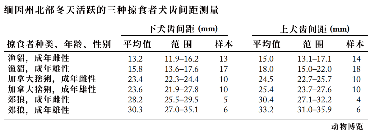 鼬科有哪些动物名字，鼬科是犬科吗还是猫科