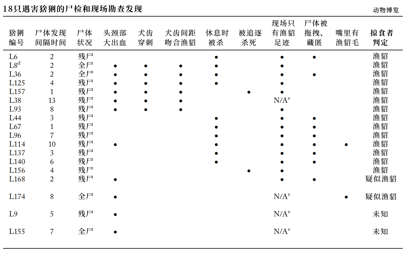 鼬科有哪些动物名字，鼬科是犬科吗还是猫科