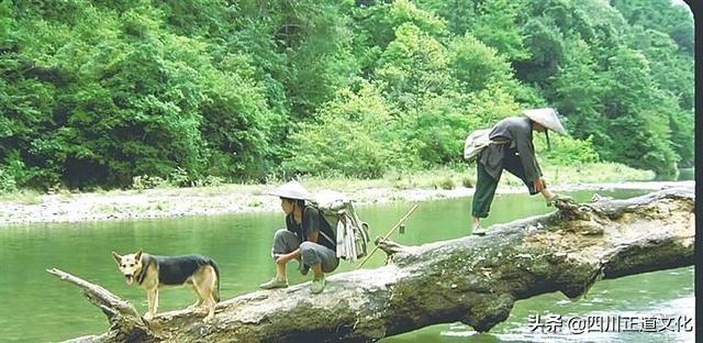 狗和犬的区别獠图片（揭示狗狗和其他种类的渊源）