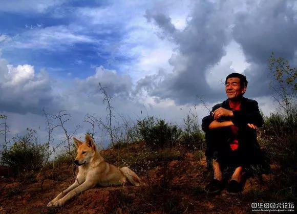 土狗幼犬特征有哪些,土狗幼犬怎么养活（了解土狗幼犬的特性）