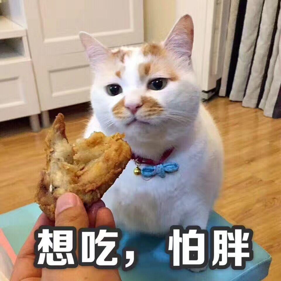 猫吃鸡胸肉的好处是什么？解析优质蛋白与营养价值（营养学分析）