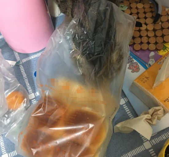 两个月小猫可以吃面包吗？（探究猫咪饮食偏好和适宜食物）