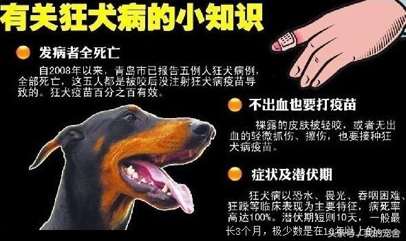 携带狂犬病的狗能活多久会死，狂犬病的狗有什么症状能活几天