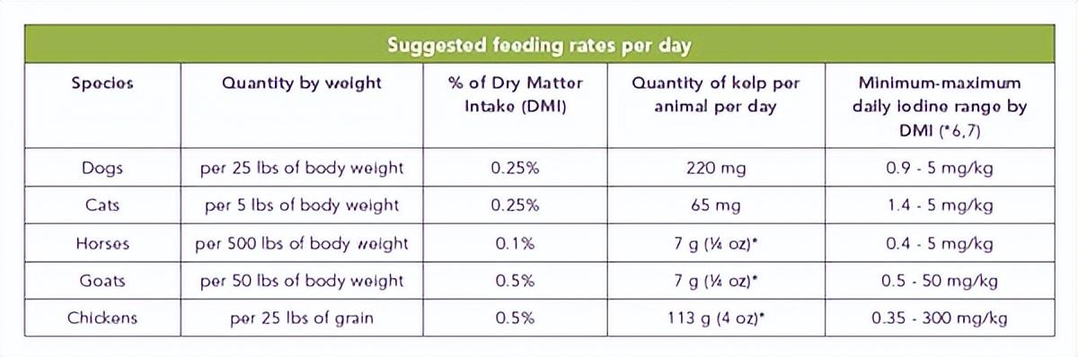 猫能吃海苔吗？猫咪饮食注意事项全方位解析