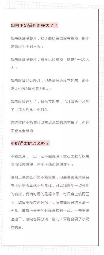 刚出生的小猫几天过危险期，怎么排便，没有母猫怎么养