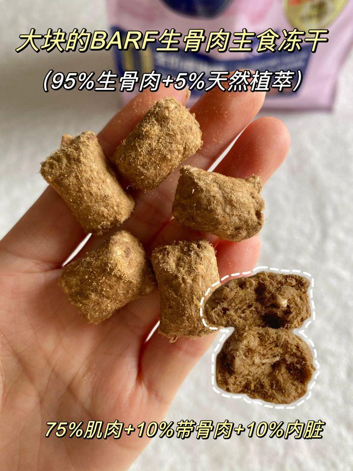 猫咪拉粑粑有血是怎么回事,肠道问题应对策略（专业解读猫肠道问题）